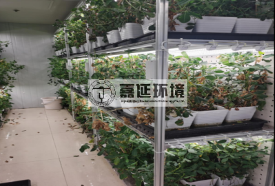 1中科院植物所 (2).png