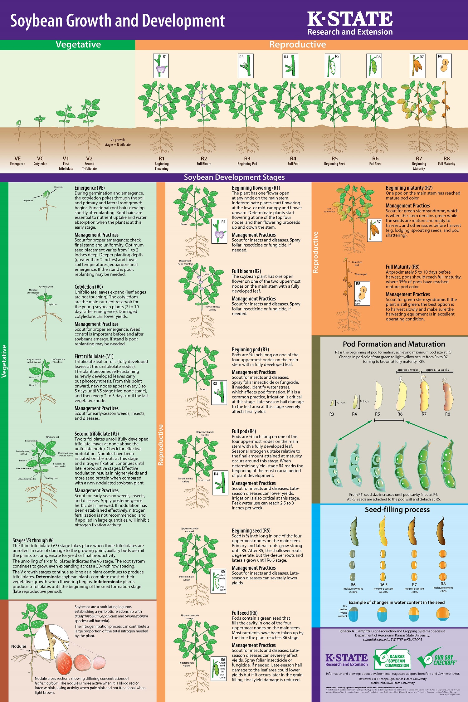 MF3339_Soybean Growth & Devemopment.jpg